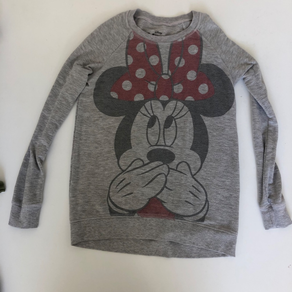 2 Cartoon Sweatshirts. Minnie Mouse And Roxy Girls Size 16